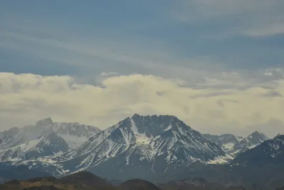 DSC_6598 (Large).JPG